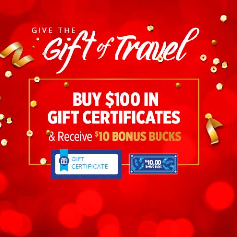 Give the Gift of Travel!